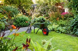 Aménagement jardin à Metz